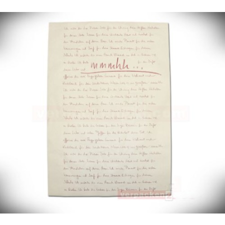 Hârtie de ambalat rezistenta la grasimi - seria "mmmhh" 37 x 50 cm – 12